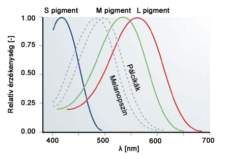 ipRGC ganglion sejtek spektrális érzékenysége