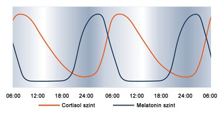 Melatonin szint és a cirkádián ritmus