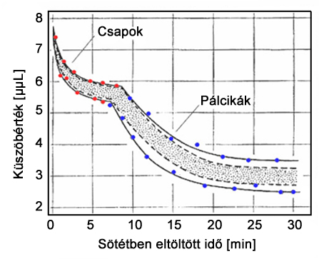 Sötét adaptációs görbék