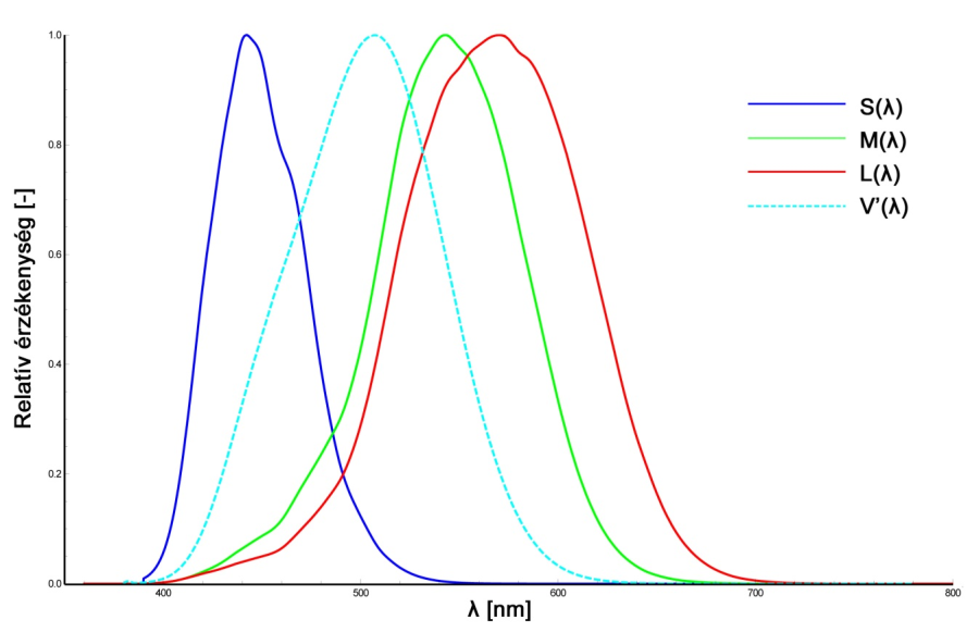 Csapok és pálcikák spektrális érzékenysége