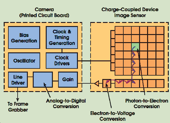 Structure of CCD (Source: Photonics Spectra)