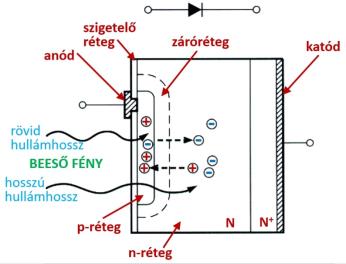 Fotodióda vázlatos keresztmetszete