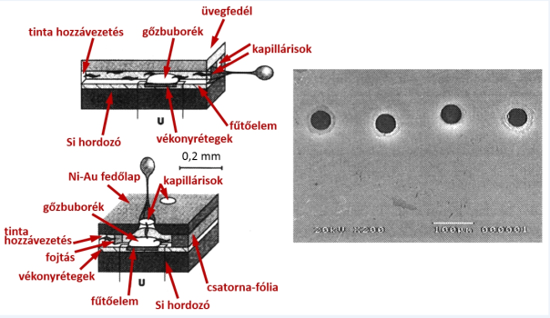 A nyomtatófejek kétféle elrendezése és a kapillárisok egy részlete