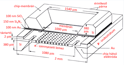 Egy chip-es kondenzátor mikrofon vázlatos keresztmetszete