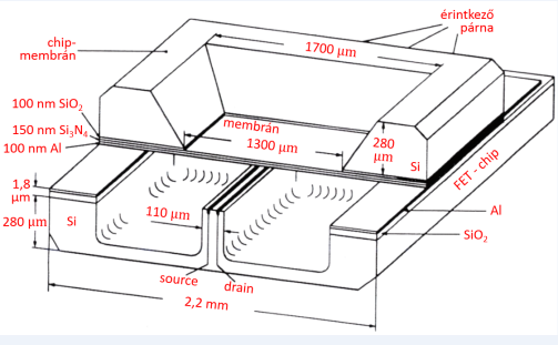 A FET mikrofon metszeti rajza