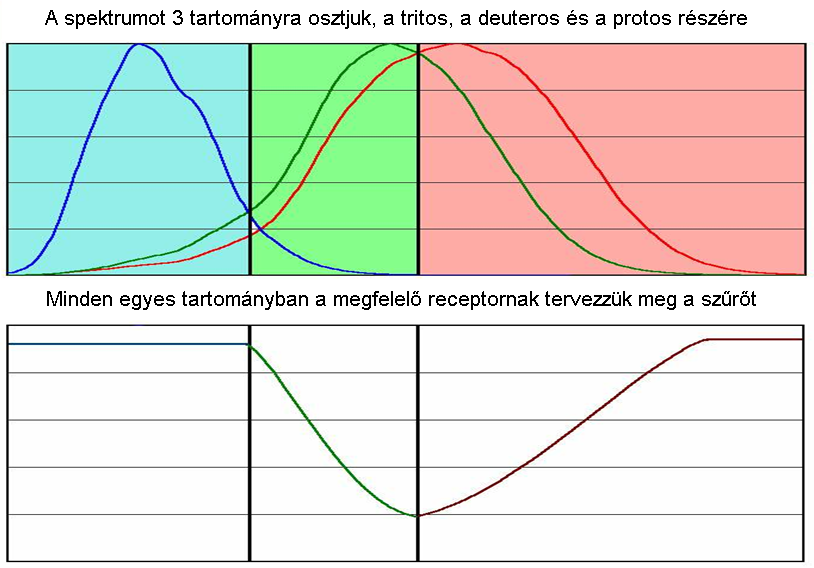 Az optimalizálás elve a színlátás javító szemüveg tervezésénél