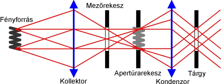 A Köhler-féle megvilágítás