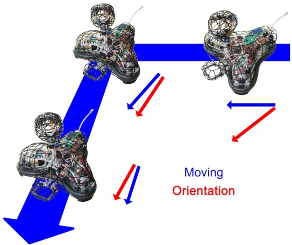 Omnidirectional movement