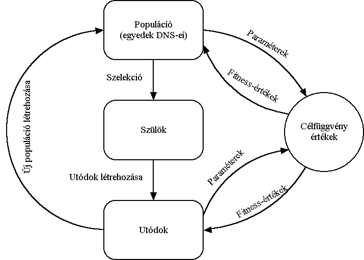 A genetikus algoritmus általános folyamatábrája