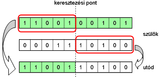 Egypontos keresztezés