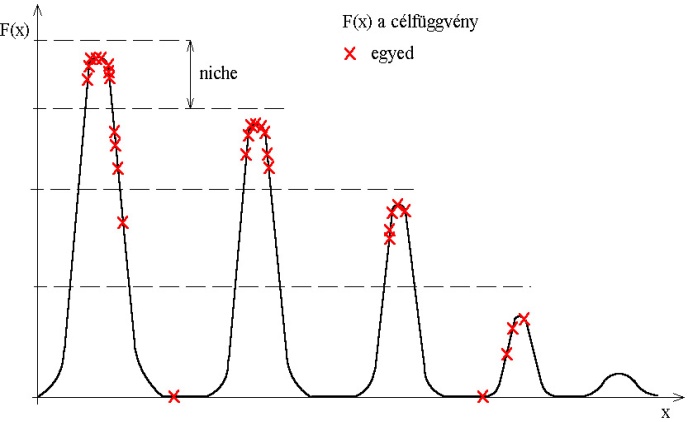 Niche-éket alkalmazó algoritmus